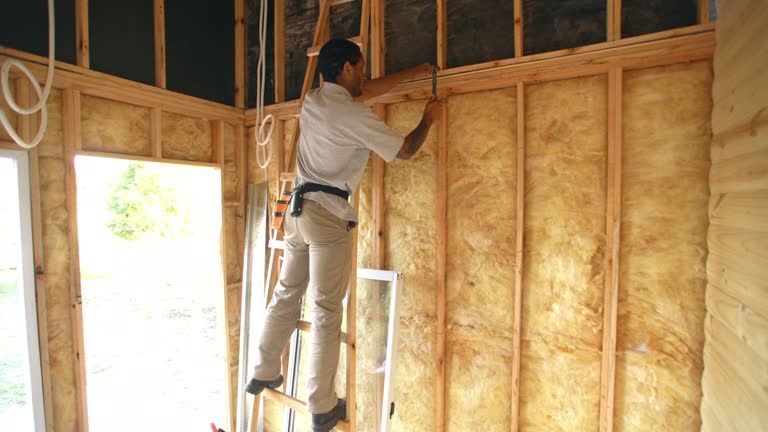 Types of Insulation We Offer in Ione, CA