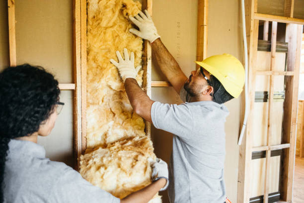 Best Batt and Roll Insulation  in Ione, CA