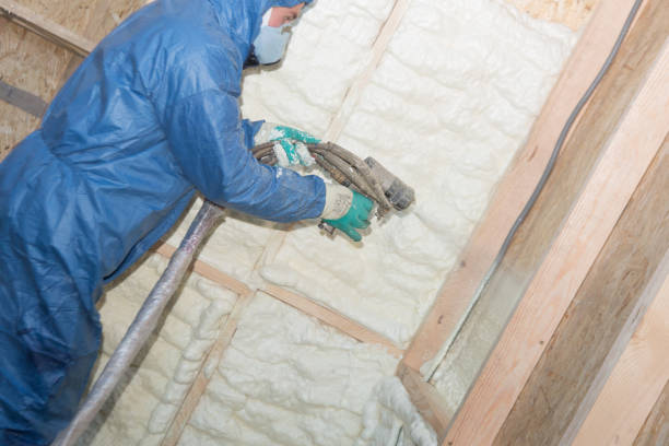 Best Reflective Insulation  in Ione, CA