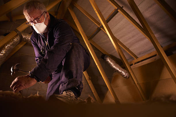 Best Attic Insulation Installation  in Ione, CA